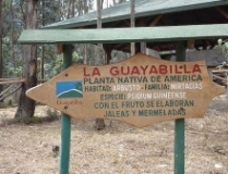 Imagen Loma de Guayabillas